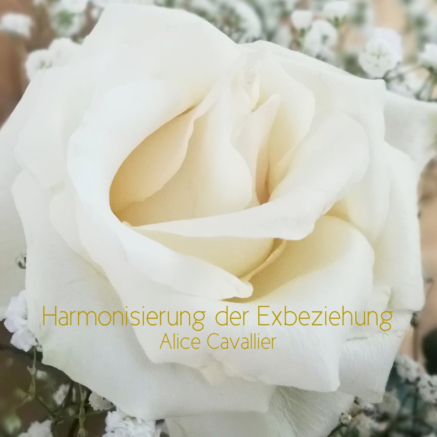 Harmonisierung der Exbeziehung